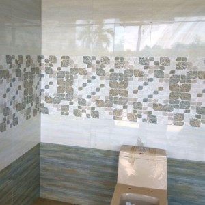 Digital Ceramic Wall Tiles