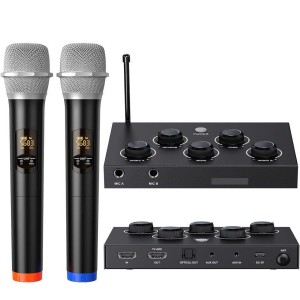 Digital Karaoke Microphones