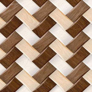 Digital Wall Ceramic Tiles