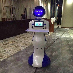 Dinner Delivery Robot