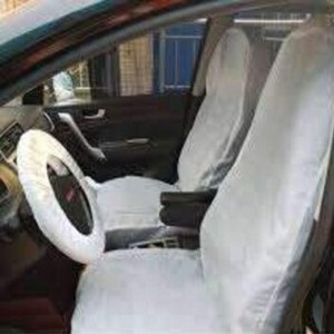 Disposable Car Seat Cover