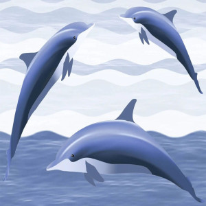 Dolphin Wall Tiles