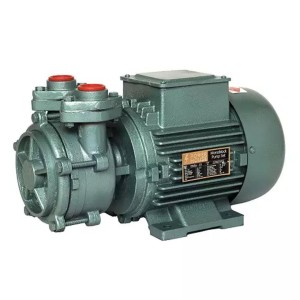 Domestic Water Pump