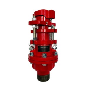 Double Packed Stuffing Box