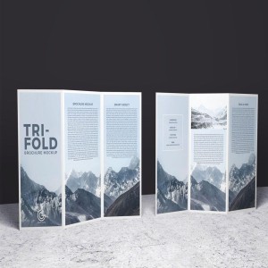 Double Sided Brochure