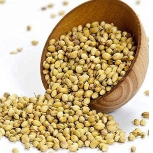 Dried Coriander Seeds