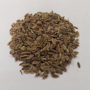 Dried Dill Seeds
