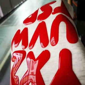 Dry Glossy Silicone Ink