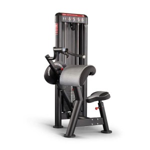 Dual Curl Biceps Triceps