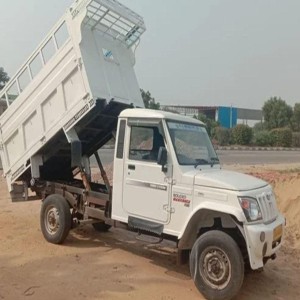 Dumper White Placer