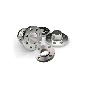 Duplex Flanges Steel 