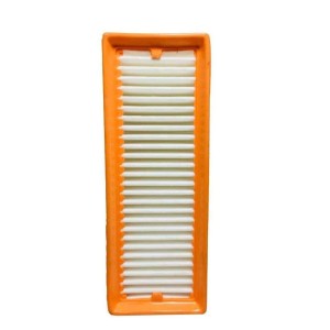 Duster Air Filter