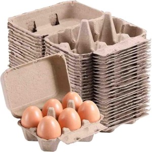 Egg Cartons