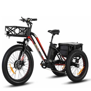 Electric Fat Tire Tricycle