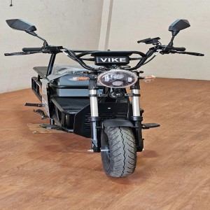 Electric Heavy Duty Bike