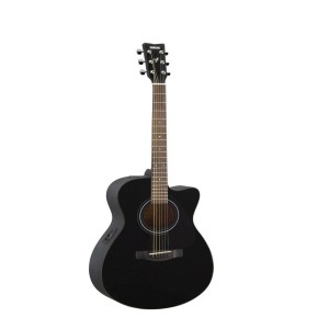 Electro Accoustic Guitar