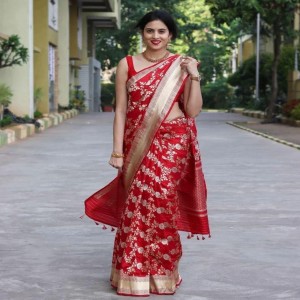Embroidered Banarasi Sarees