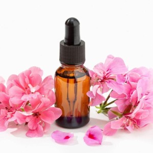 Essential Geranium Oil