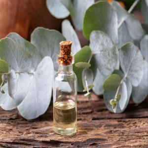 Eucalyptus Oil Liquid