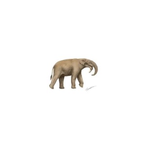 Evolution Park Deinotherium