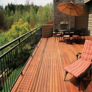 Exterior Brown Deck