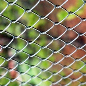 Fencing Chain Link