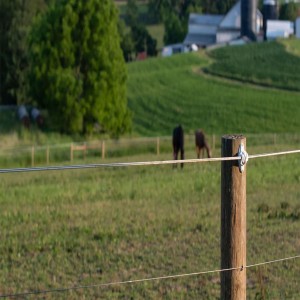 Fencing Electric System