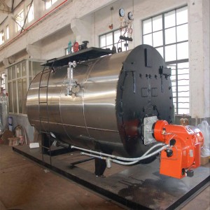 Fired Gas Boiler