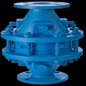 Flame Biogas Arrestor