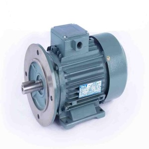 Flange Mounted Motor