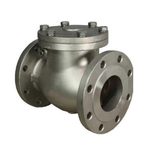 Flange Type Check Valve
