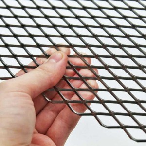 Flattened Expanded Mesh