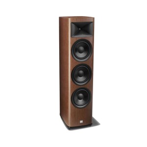 Floor Standing Speaker