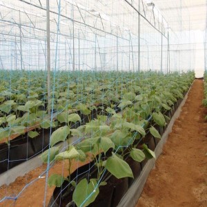 Floriculture Shade Net
