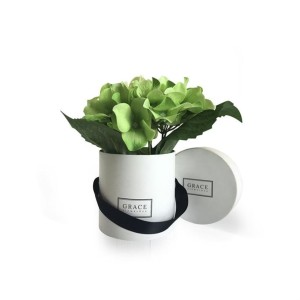 Flower Pot Tube Box