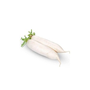 Fresh White Radish