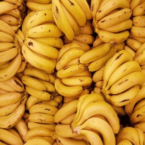 Fresh Yellow Bananas