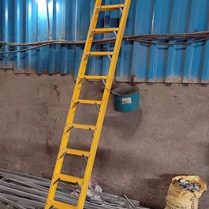 FRP Wall Ladders