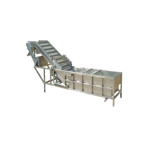 Fruit Washing Machines