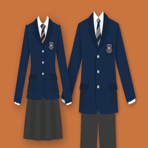Full Sleeves School Uniform