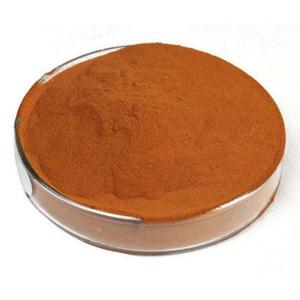 Fulvic Acid Powder