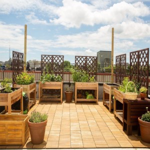 Gardening Roof Service