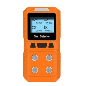 Gas Detector Monitor