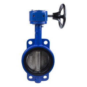 Gear Butterfly Valves