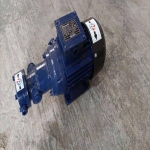 Gear Monoblock Pump