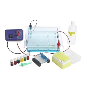 Gel Electrophoresis Equipment