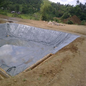 Geomembrane Agriculture Plant