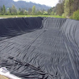 Geomembrane Roof Lining