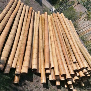 Giant Bamboo Sticks, Round shaped, green color