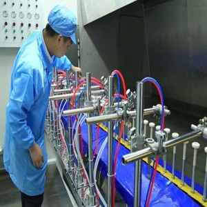 Glass Coating Painting Plant